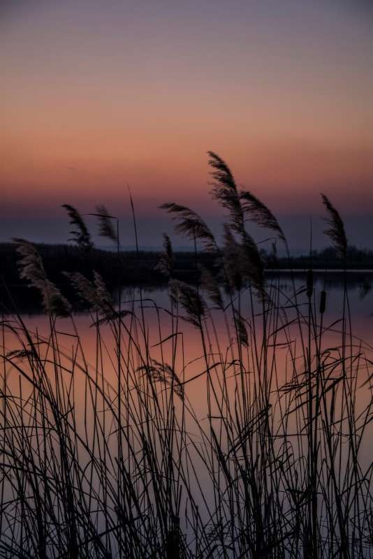 ... ����� ��������� ������ �� PhotoGeek.ru #������ ��� �������