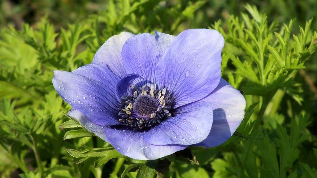 ����. ����� ��������� ������ �� PhotoGeek.ru #������ ��� �������