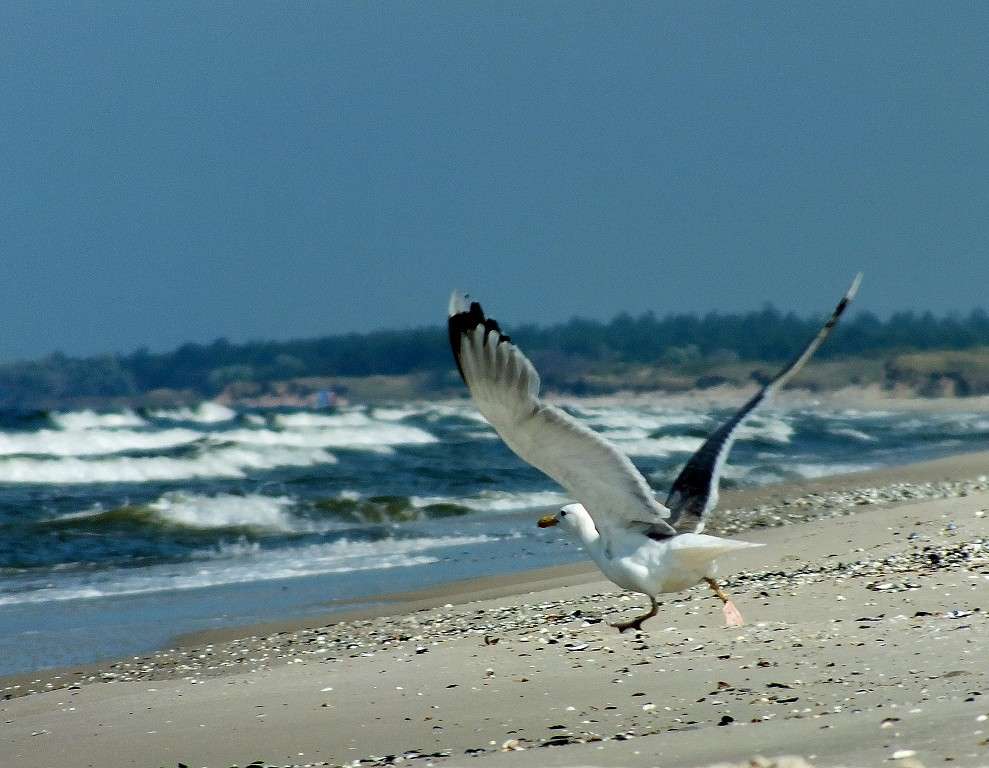 �� ������. ����� ��������� ������ �� PhotoGeek.ru #������ ��� �������