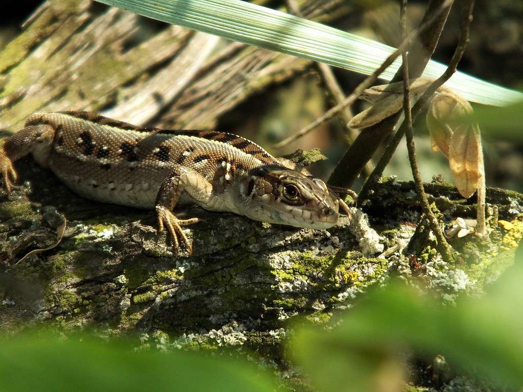 ... ����� ��������� ������ �� PhotoGeek.ru #�������� ���