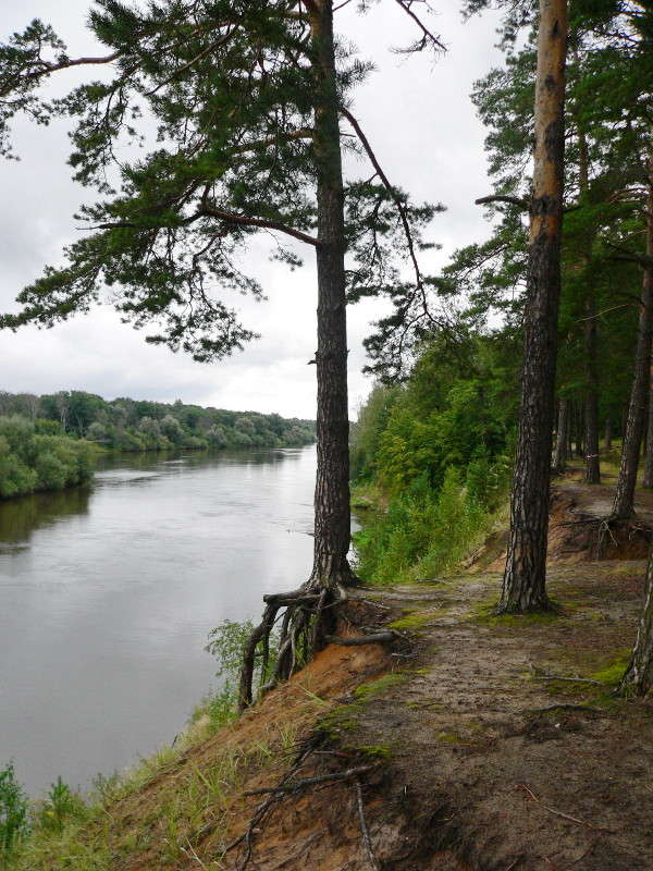 ������� ����� ������� ��������� �� PhotoGeek.ru #������ ��� �������