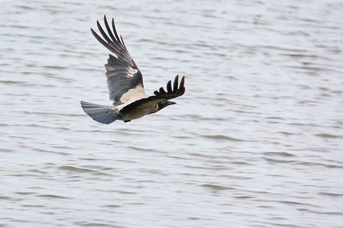 ������������ ������ ����� ������� ��������� �� PhotoGeek.ru #�������� ���