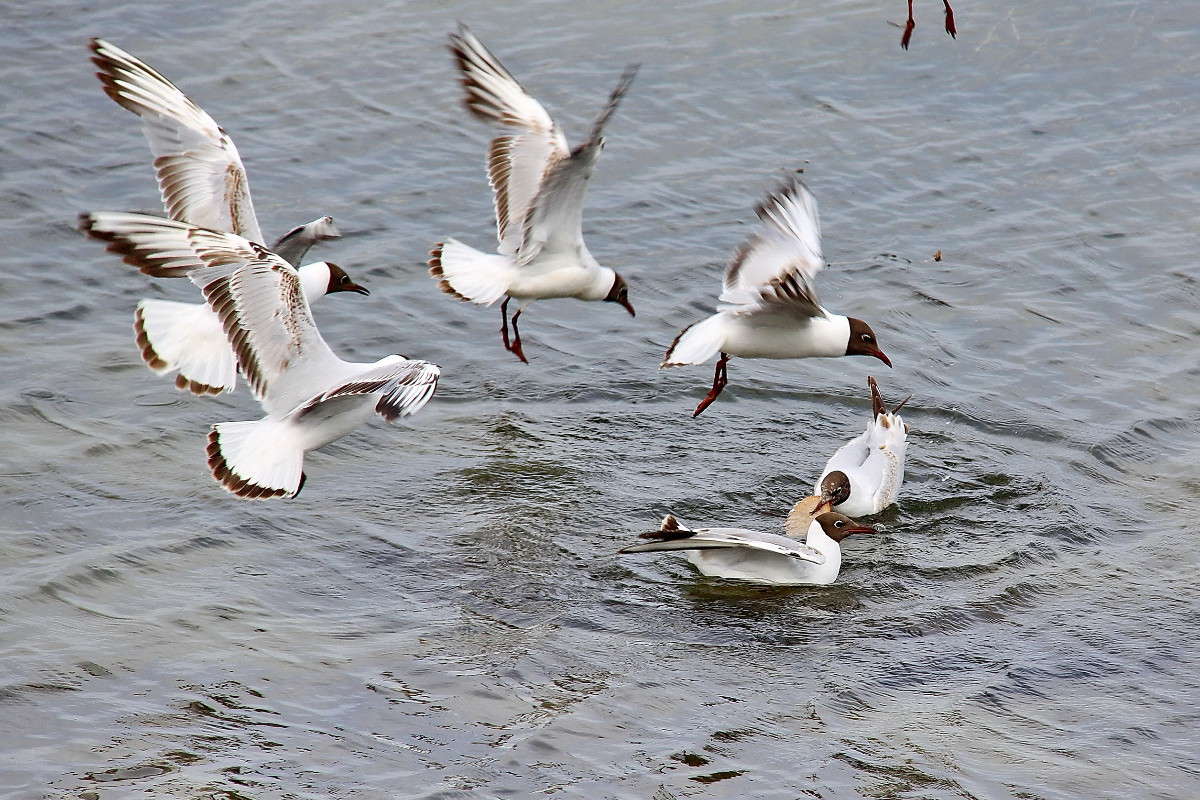 ��������� ������� ����� ������� ��������� �� PhotoGeek.ru #�������� ���