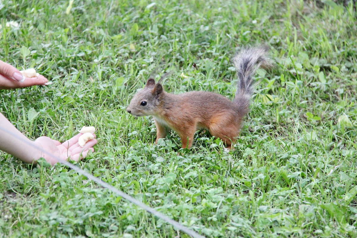 ��� �������? ����� ������� ��������� �� PhotoGeek.ru #�������� ���