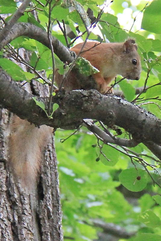 ... ����� ������� ��������� �� PhotoGeek.ru #�������� ���