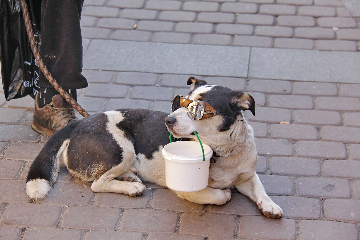 ��-�� ������ ����� ������,��-�� ������� ������� ����. ����� ������� ��������� �� PhotoGeek.ru #�������� ���