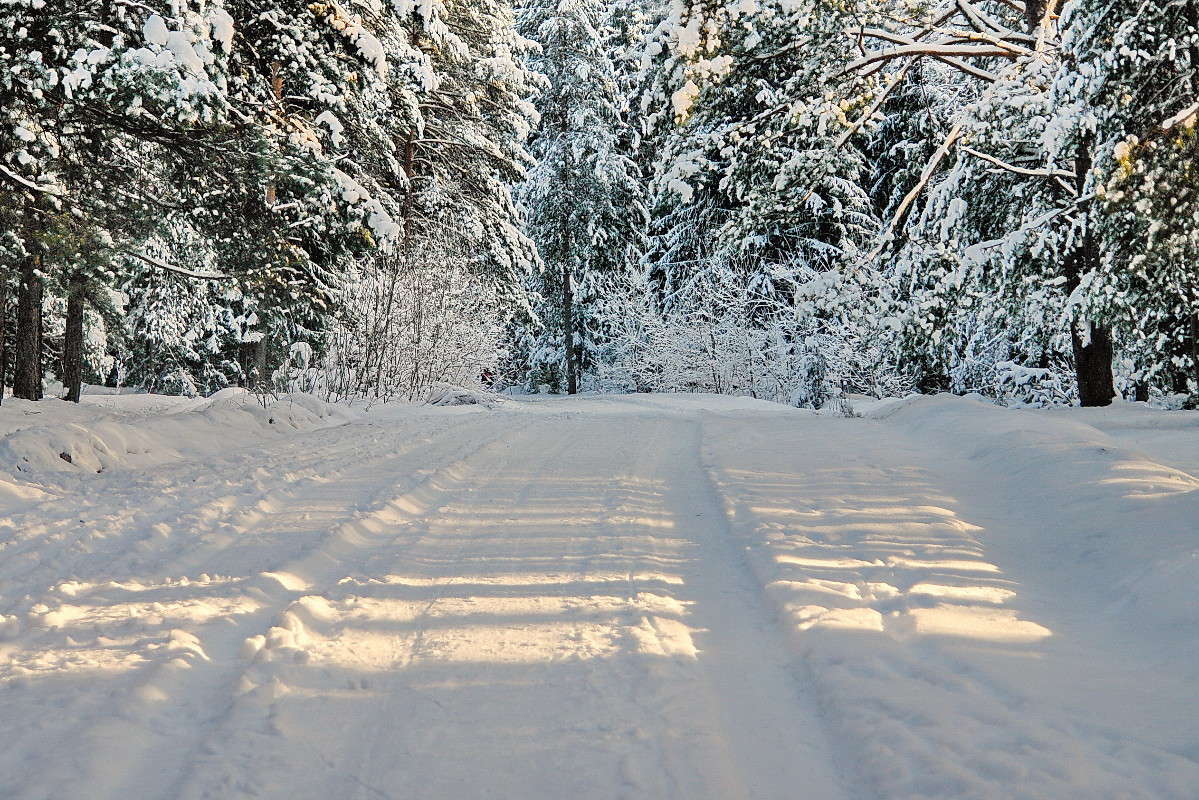 ��������� ������ ����� ������� ��������� �� PhotoGeek.ru #������ ��� �������