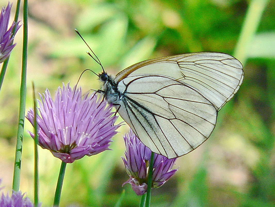 ������ ����� ������� ��������� �� PhotoGeek.ru #�������� ���