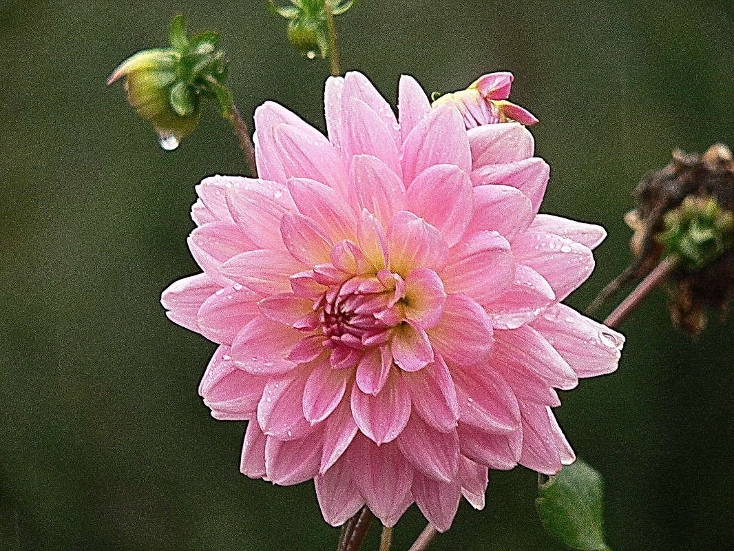 �������-������ �������� ���� ����� ������� ��������� �� PhotoGeek.ru #�����