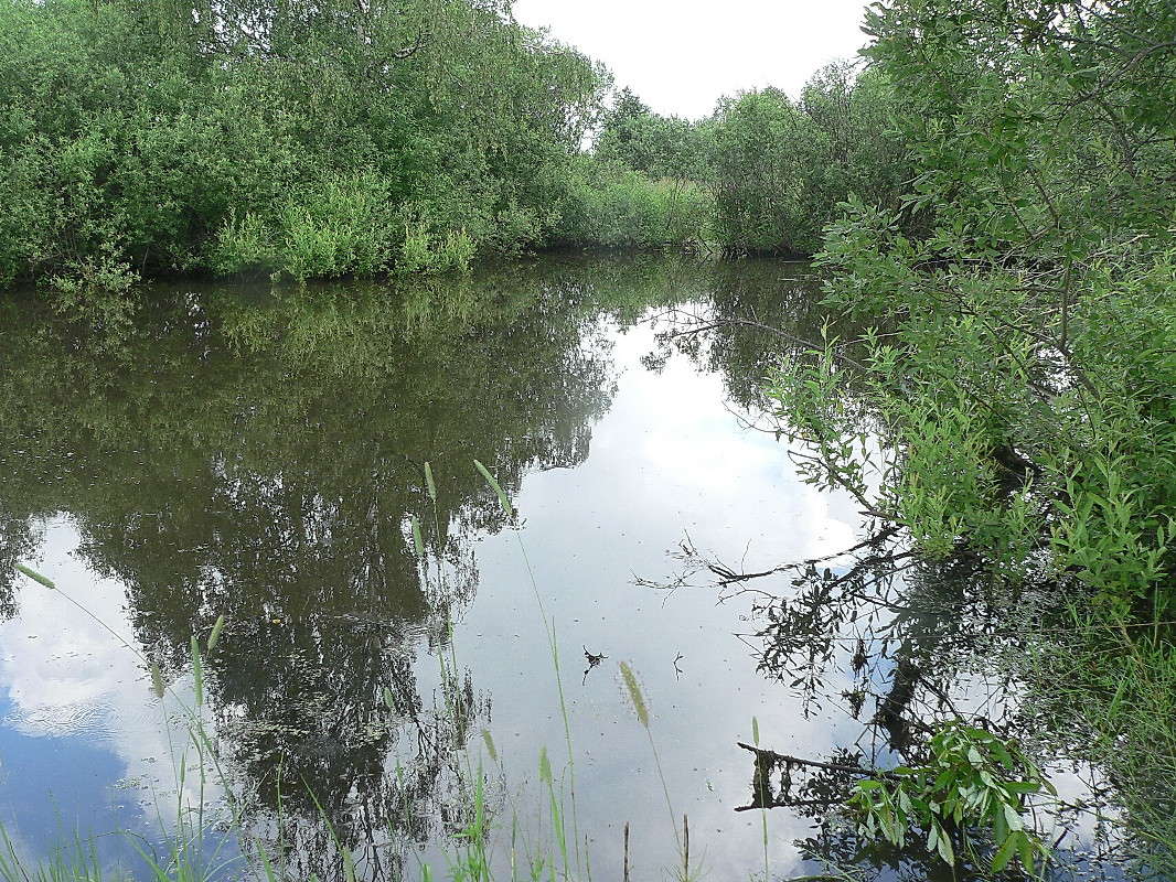 ������ ����. ����� ������� ��������� �� PhotoGeek.ru #������ ��� �������