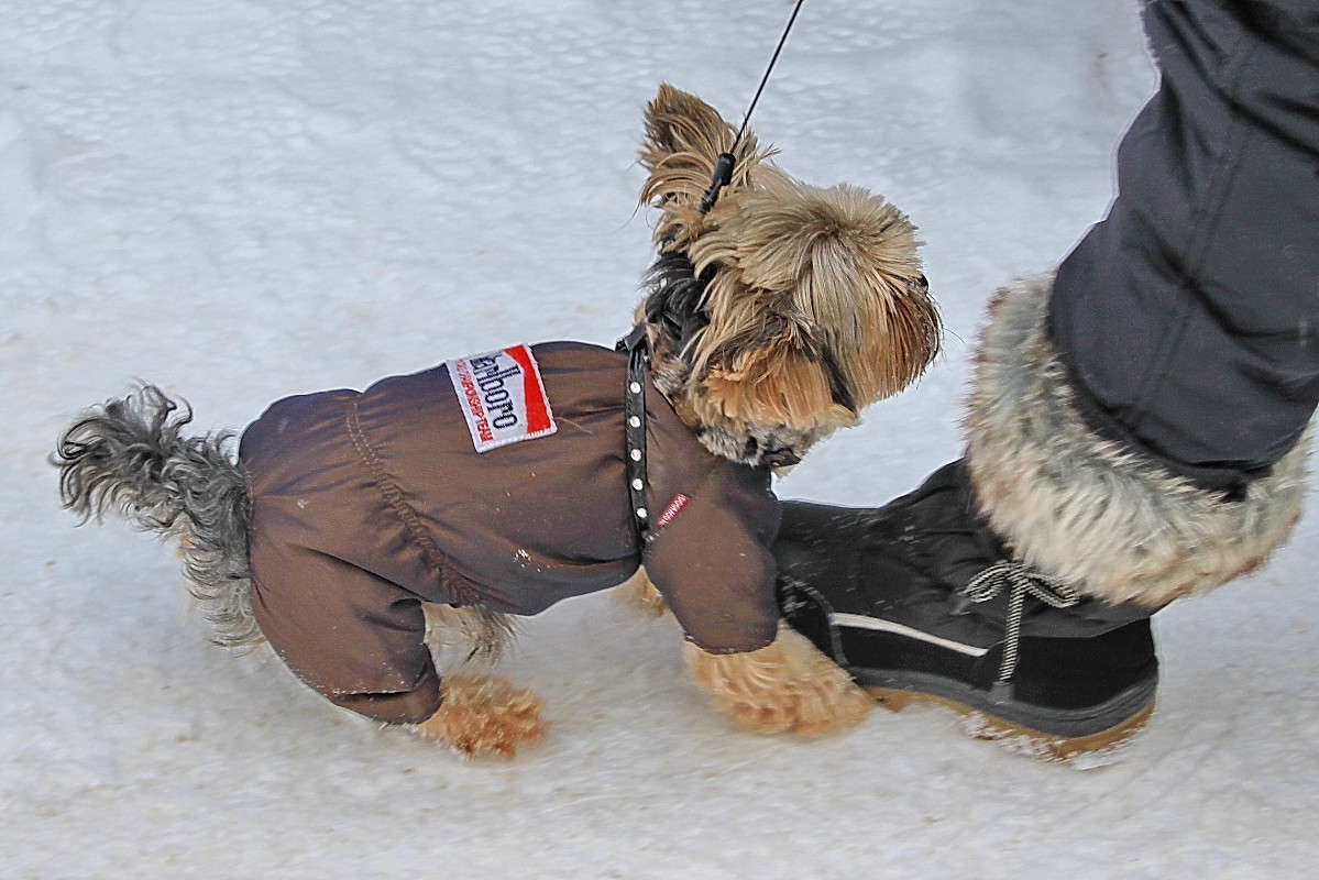 ������� ����� ������� ��������� �� PhotoGeek.ru #�������� ���