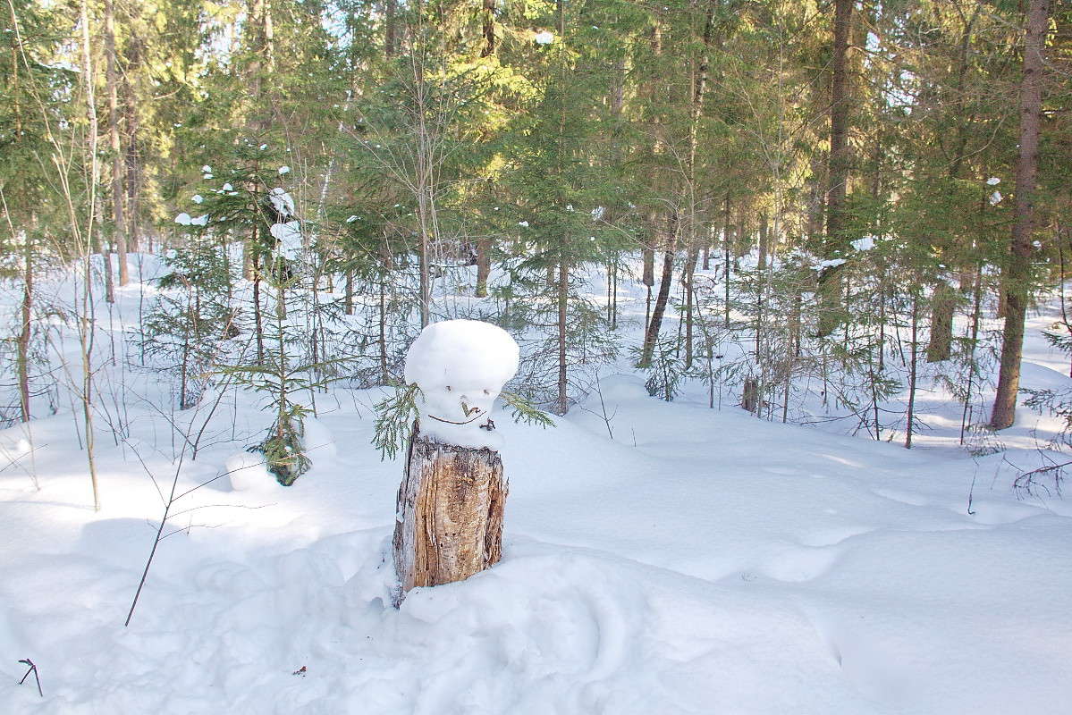 ��������� ��������� ����� ������� ��������� �� PhotoGeek.ru #������ ��� �������