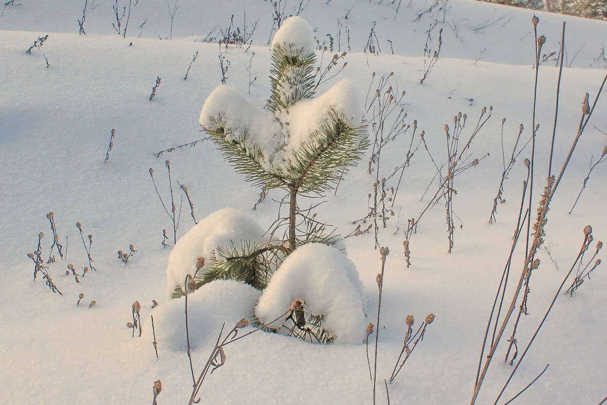 ... ����� ������� ��������� �� PhotoGeek.ru #������ ��� �������