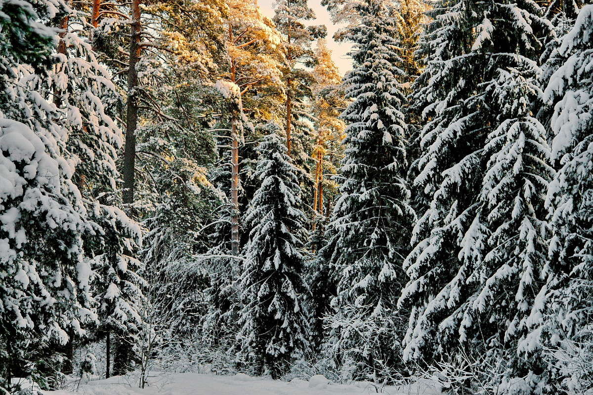 ... ����� ������� ��������� �� PhotoGeek.ru #������ ��� �������