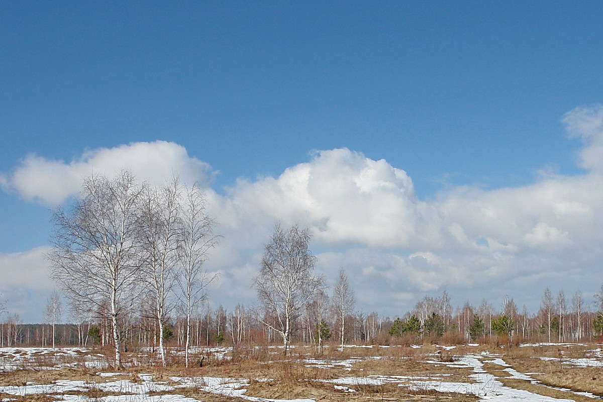 ��� � ����� ������ ����... ����� ������� ��������� �� PhotoGeek.ru #������ ��� �������