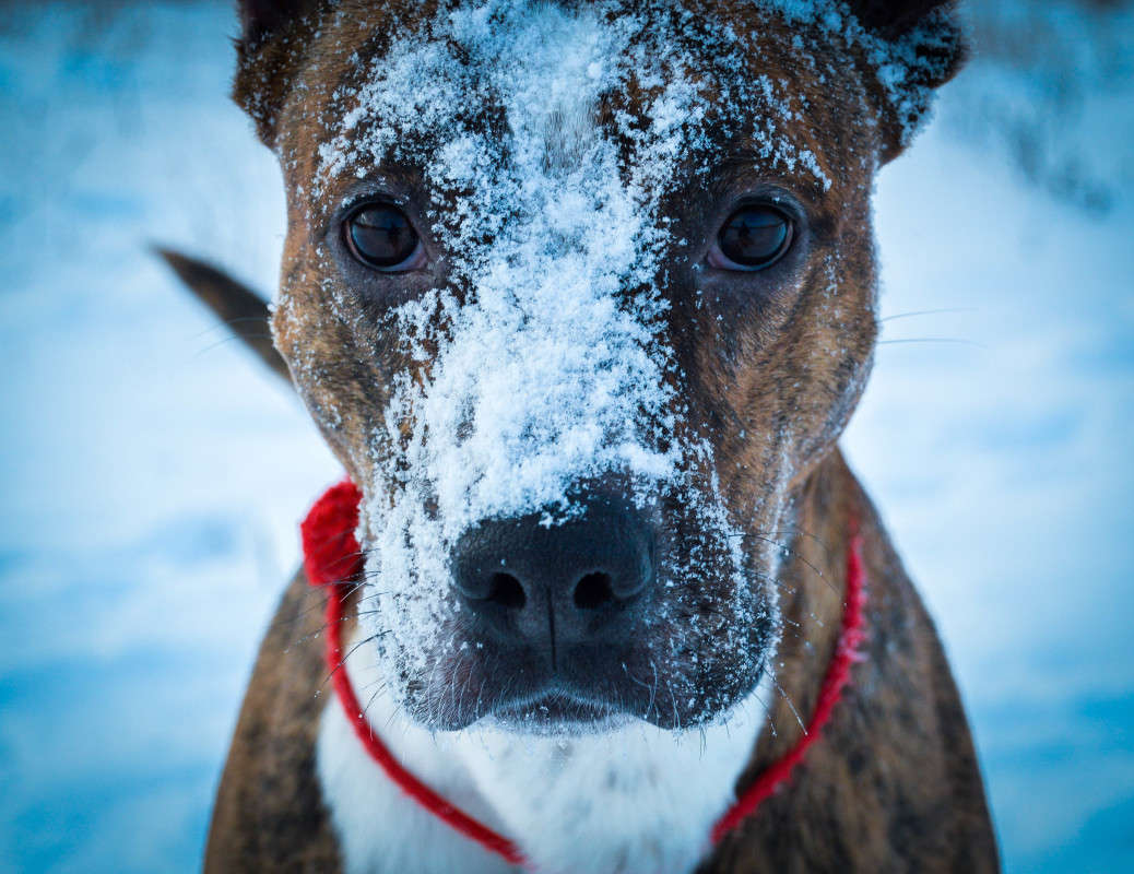 ������ ��� ����� ��������� ������� �� PhotoGeek.ru #�������� ���