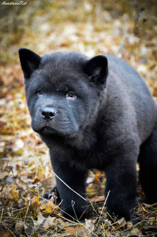 ��������� ����� ��������� ������� �� PhotoGeek.ru #�������� ���