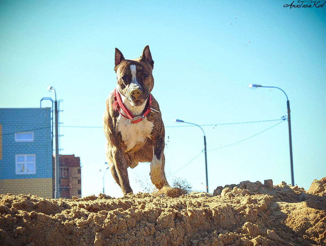 �������� ������) ����� ��������� ������� �� PhotoGeek.ru #�������� ���