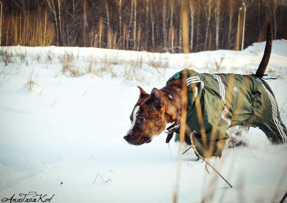 ������� ����� ��������� ������� �� PhotoGeek.ru #�������� ���