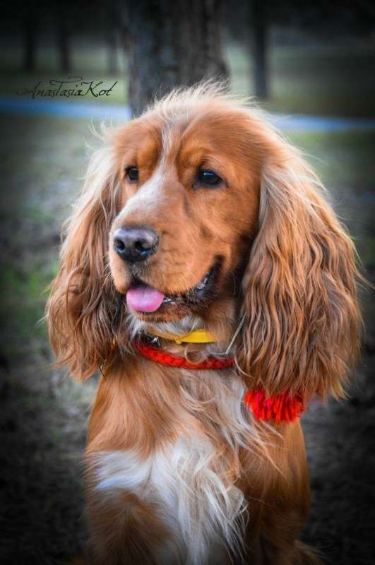 ������ ���������) ����� ��������� ������� �� PhotoGeek.ru #�������� ��� #������ ��� �������