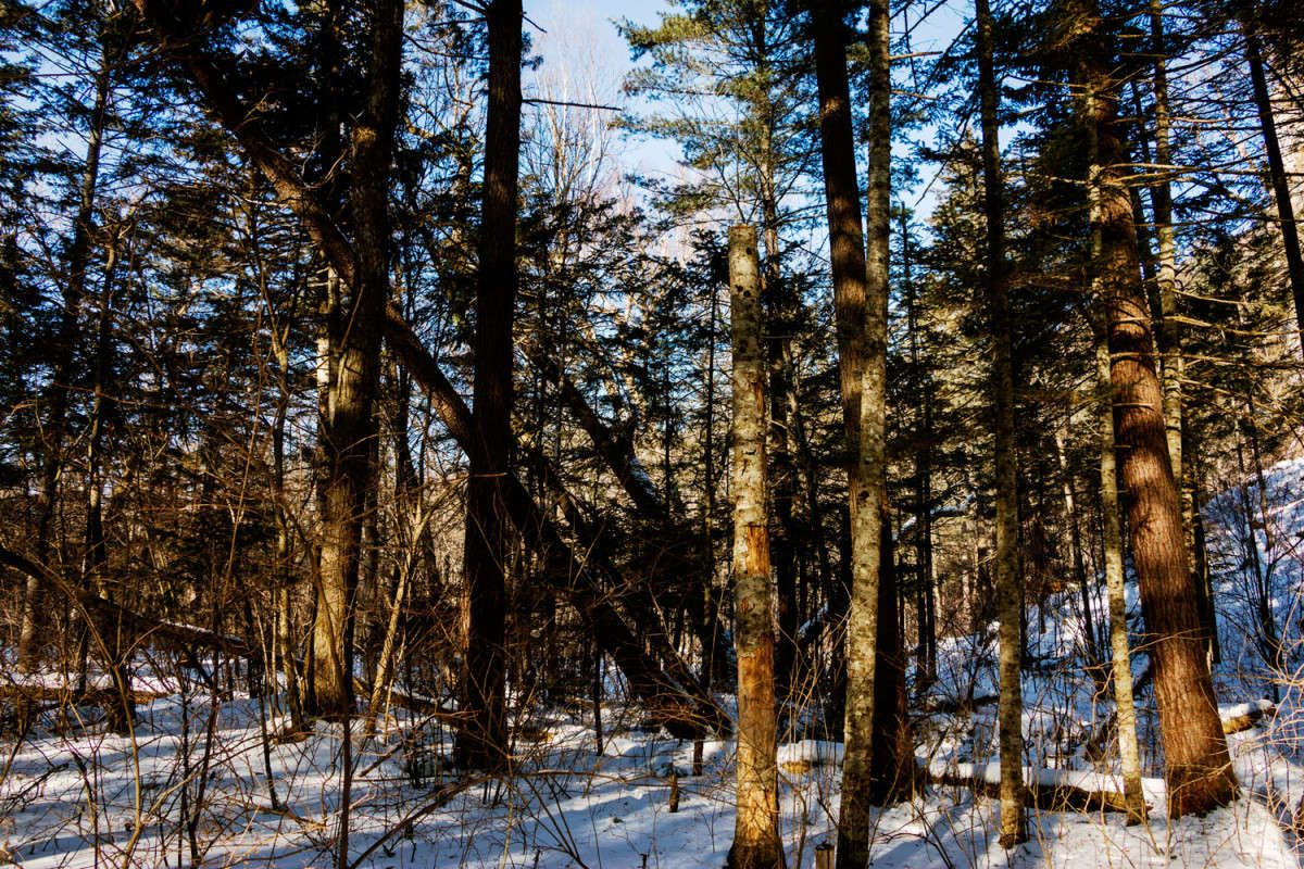 ... ����� ���� �������� �� PhotoGeek.ru #������ ��� �������