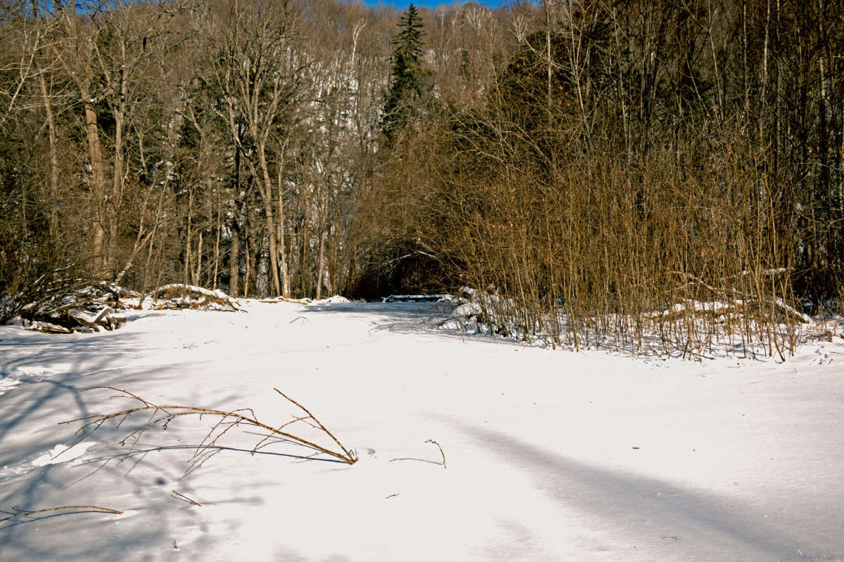 ... ����� ���� �������� �� PhotoGeek.ru #������ ��� �������