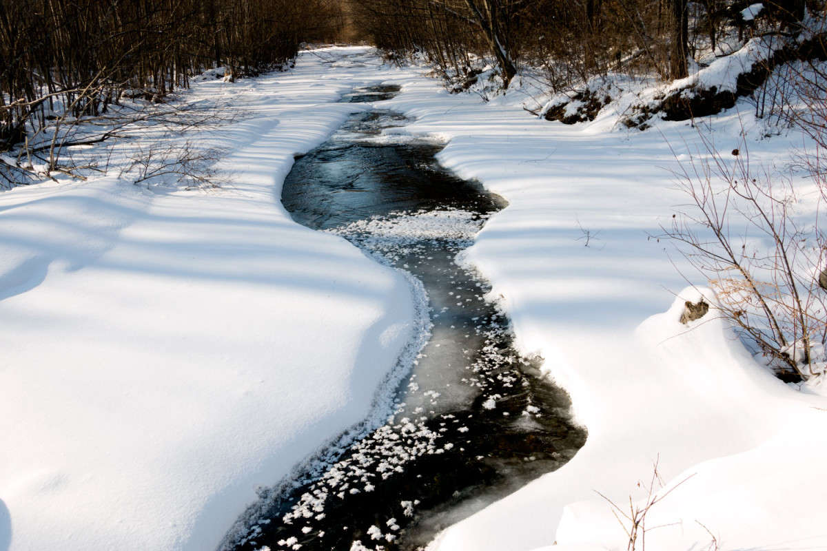 ����������� ������ ����� ���� �������� �� PhotoGeek.ru #������ ��� �������