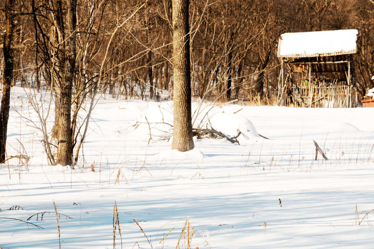 ��������... ����� ���� �������� �� PhotoGeek.ru #������ ��� �������