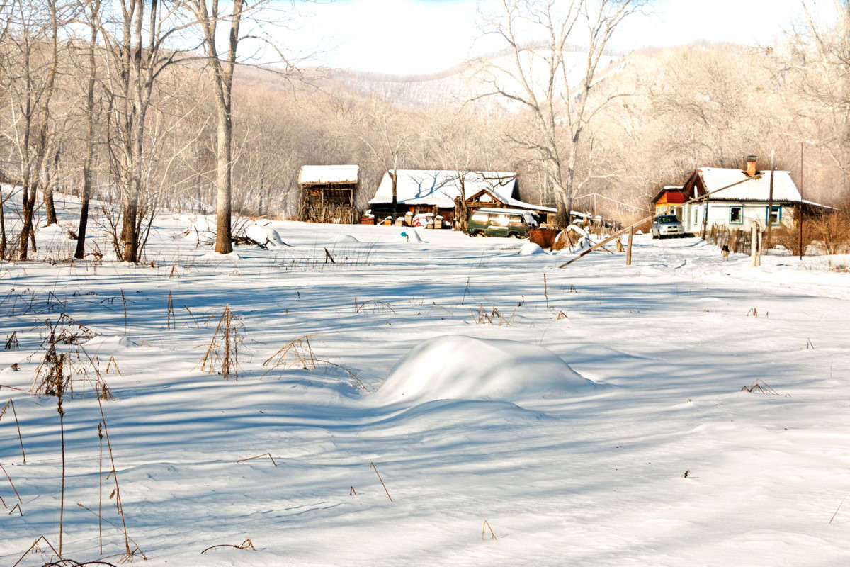 �������� ����� ���� �������� �� PhotoGeek.ru #������ ��� �������