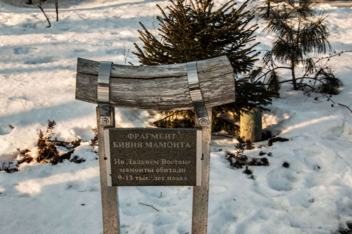 ������� ������� ��������. ����� ���� �������� �� PhotoGeek.ru #������ ��� �������