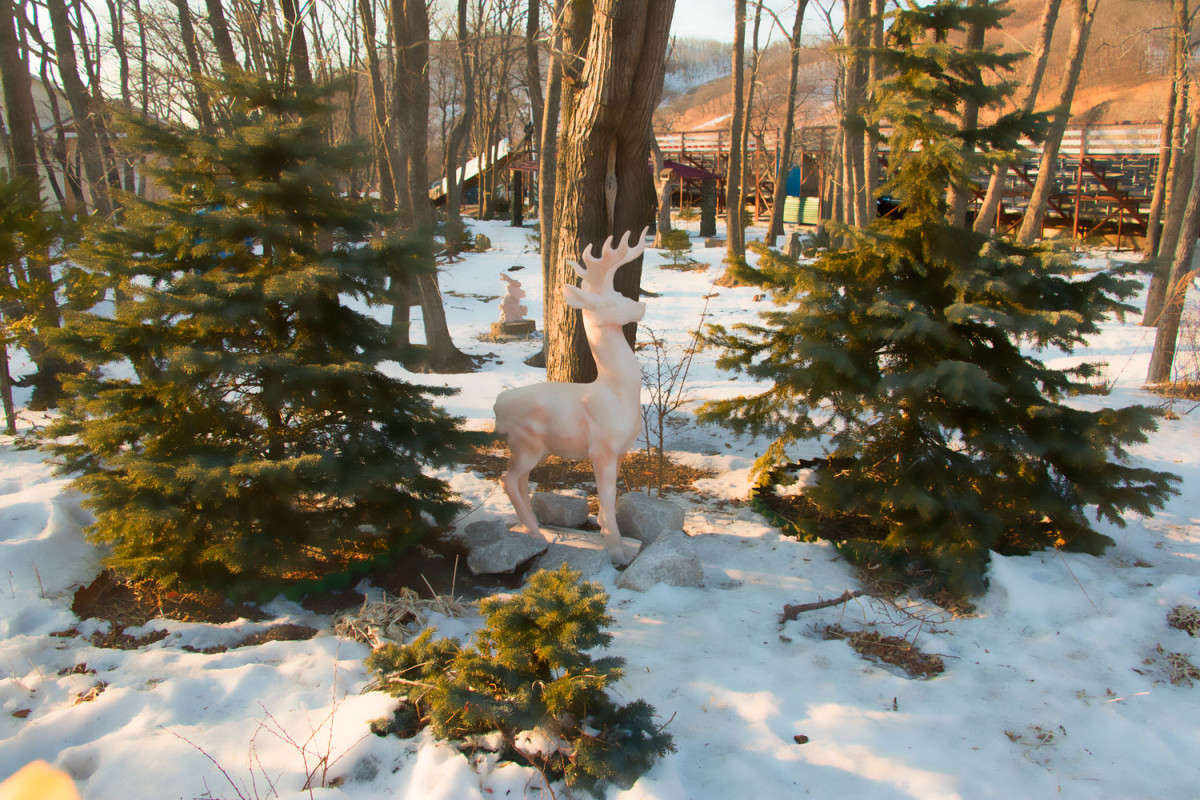 � "������". ����� ���� �������� �� PhotoGeek.ru #������ ��� �������