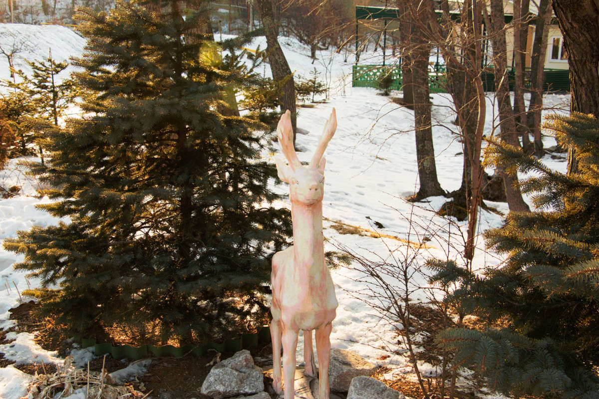 � "������". ����� ���� �������� �� PhotoGeek.ru #������ ��� �������