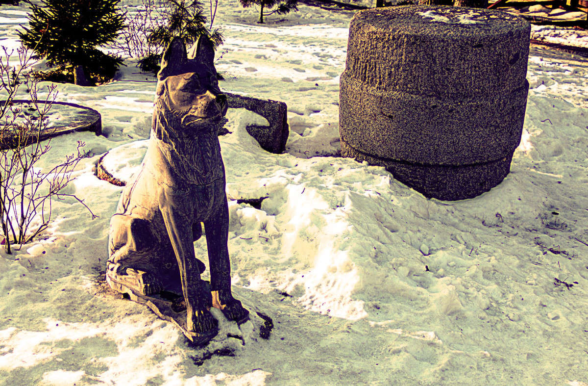 ������ �� ������. ����� ���� �������� �� PhotoGeek.ru #������ ��� �������