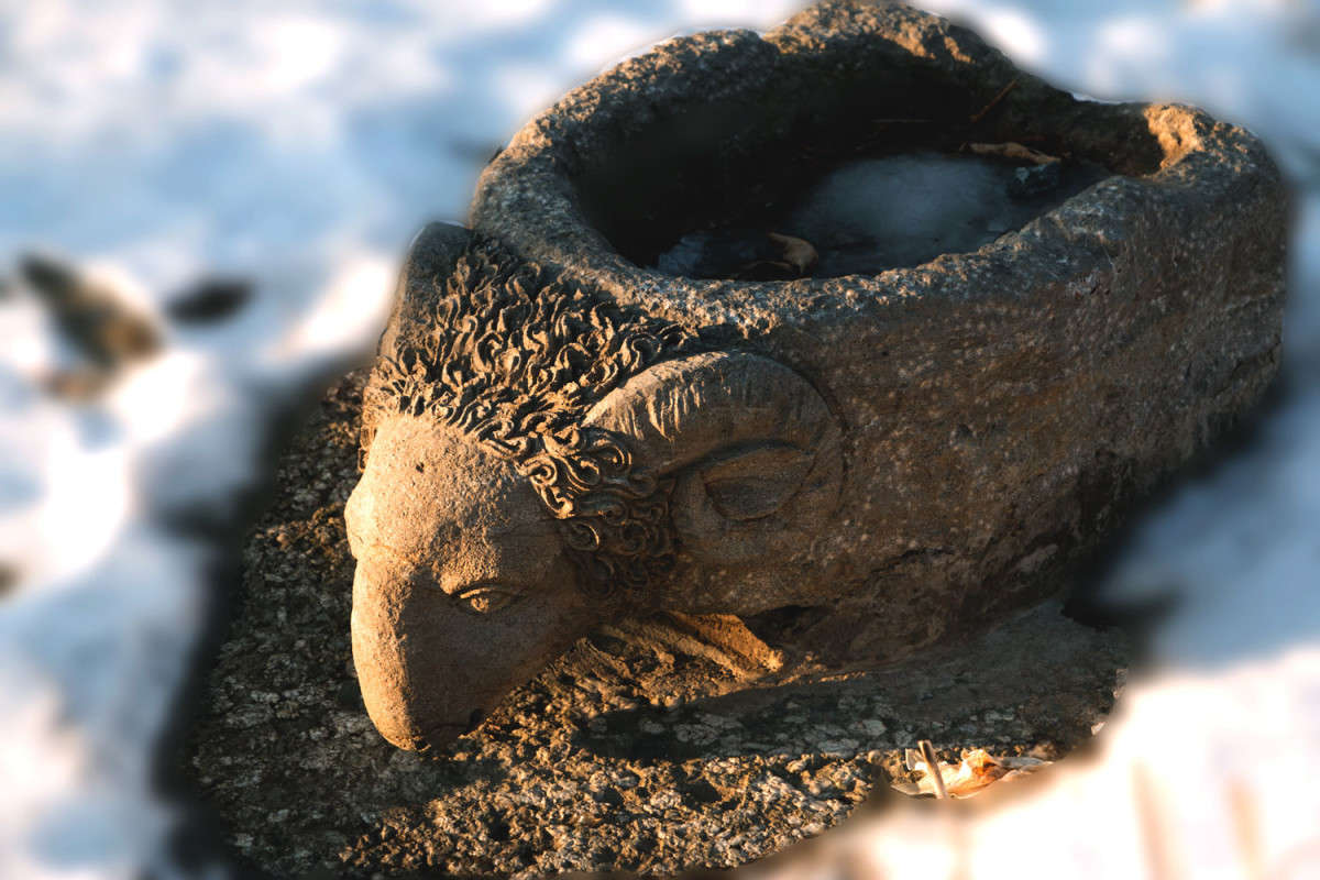 ������ ����, ������. ����� ���� �������� �� PhotoGeek.ru #������ ��� �������