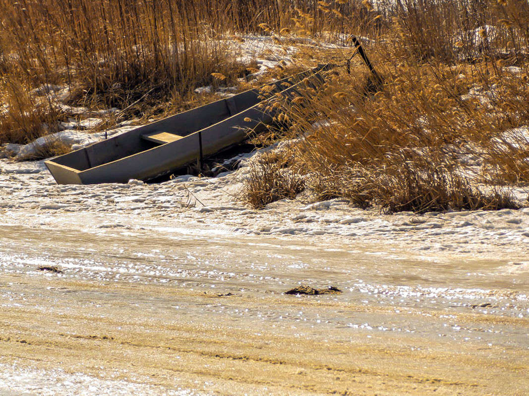 ������ ��������. ����� ���� �������� �� PhotoGeek.ru #������ ��� �������