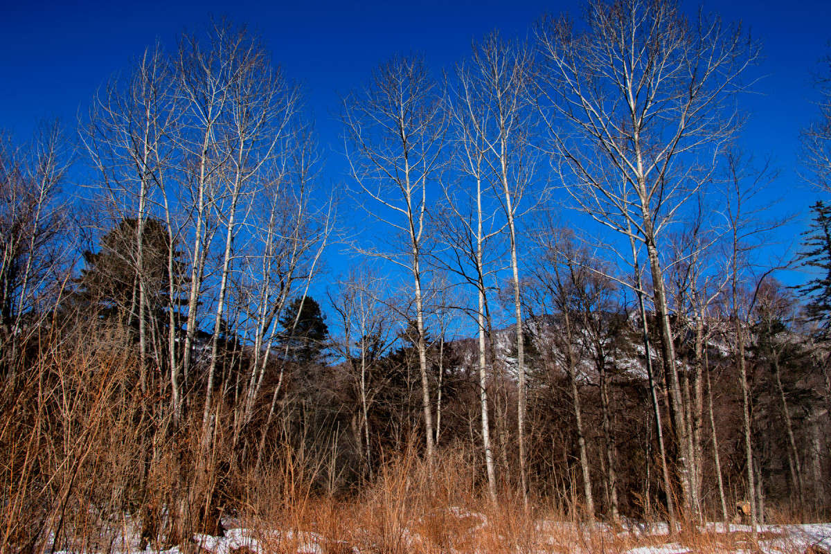 ������� �����. ����� ���� �������� �� PhotoGeek.ru #������ ��� �������