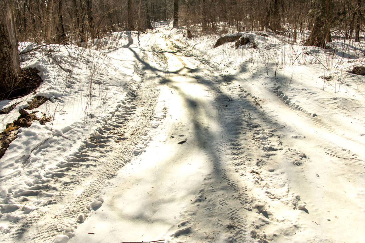 ������� �����. ����� ���� �������� �� PhotoGeek.ru #������ ��� �������