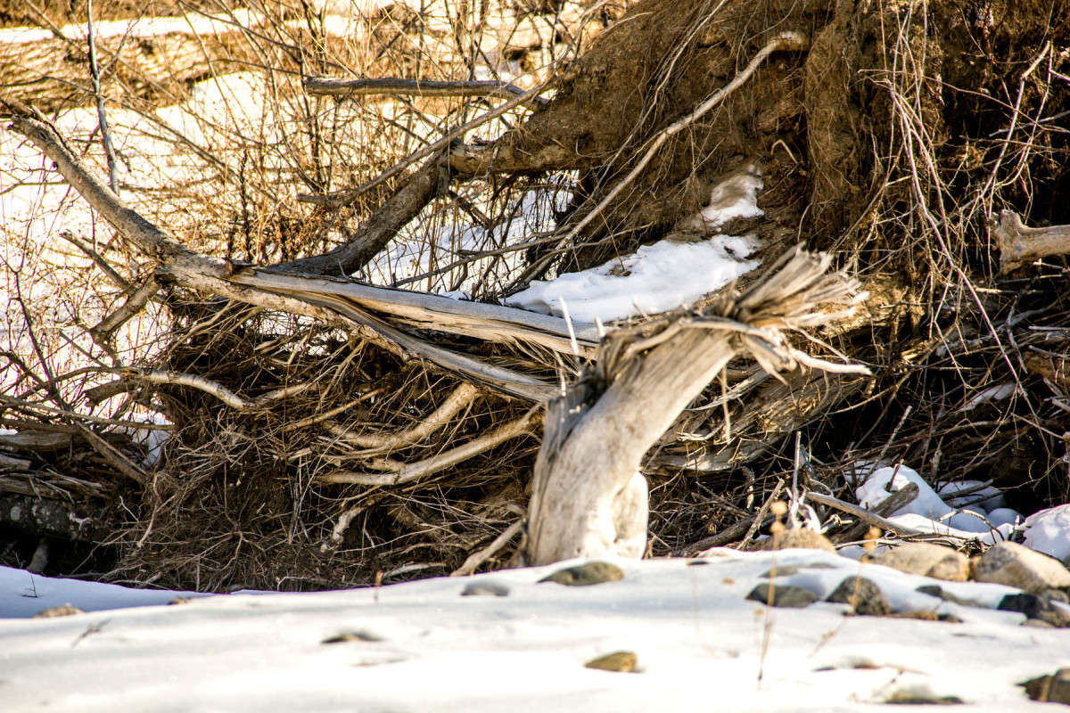 ������� ����� ����� ���� �������� �� PhotoGeek.ru #������ ��� �������