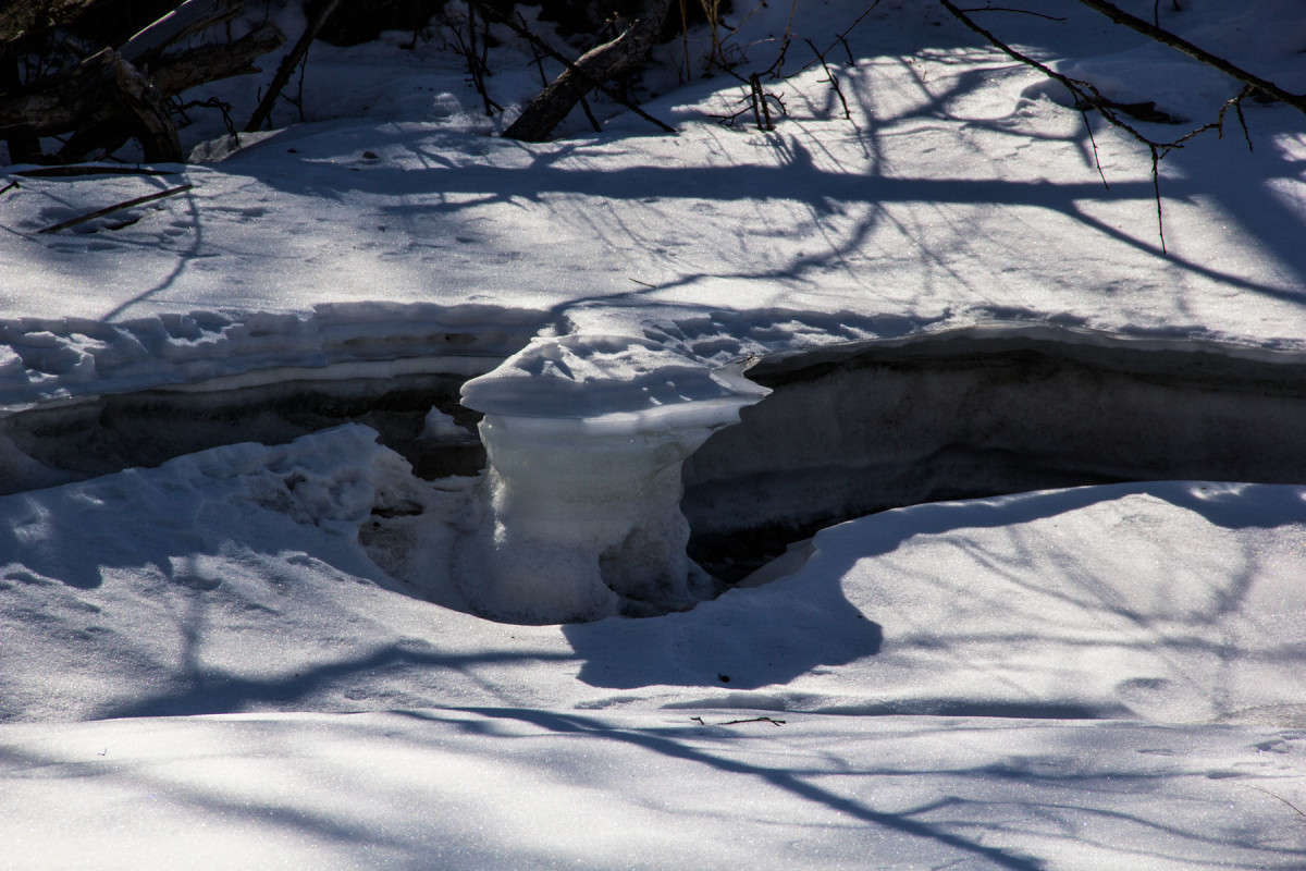 ������� ����� ����� ���� �������� �� PhotoGeek.ru #������ ��� �������