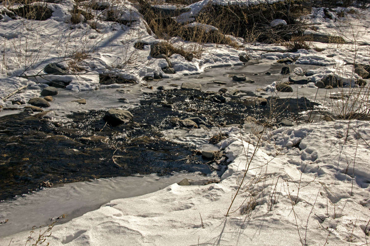 ������� ����� ����� ���� �������� �� PhotoGeek.ru #������ ��� �������