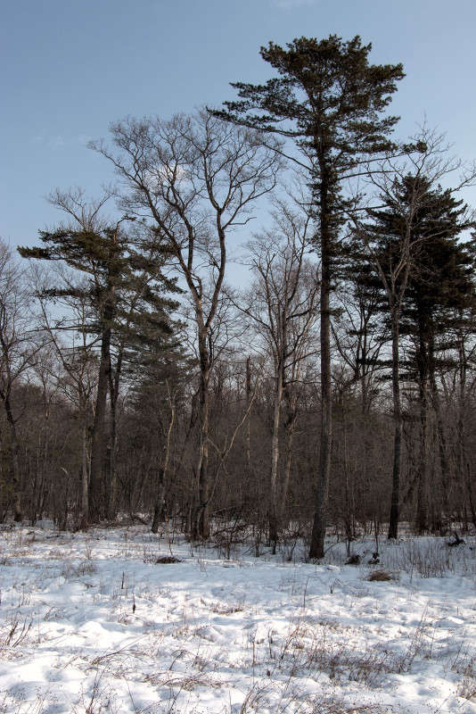 ... ����� ���� �������� �� PhotoGeek.ru #������ ��� ������� #���������