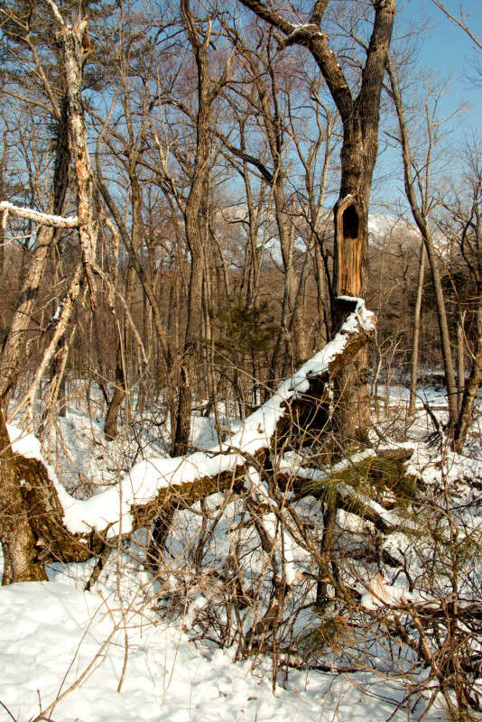 ���, ��� � ��������� �����!? ����� ���� �������� �� PhotoGeek.ru #������ ��� �������