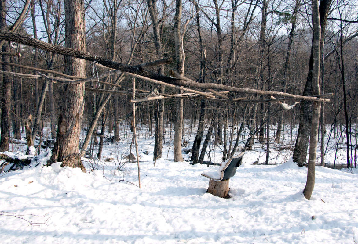 ����� ��������� � �����... ����� ���� �������� �� PhotoGeek.ru #������ ��� �������