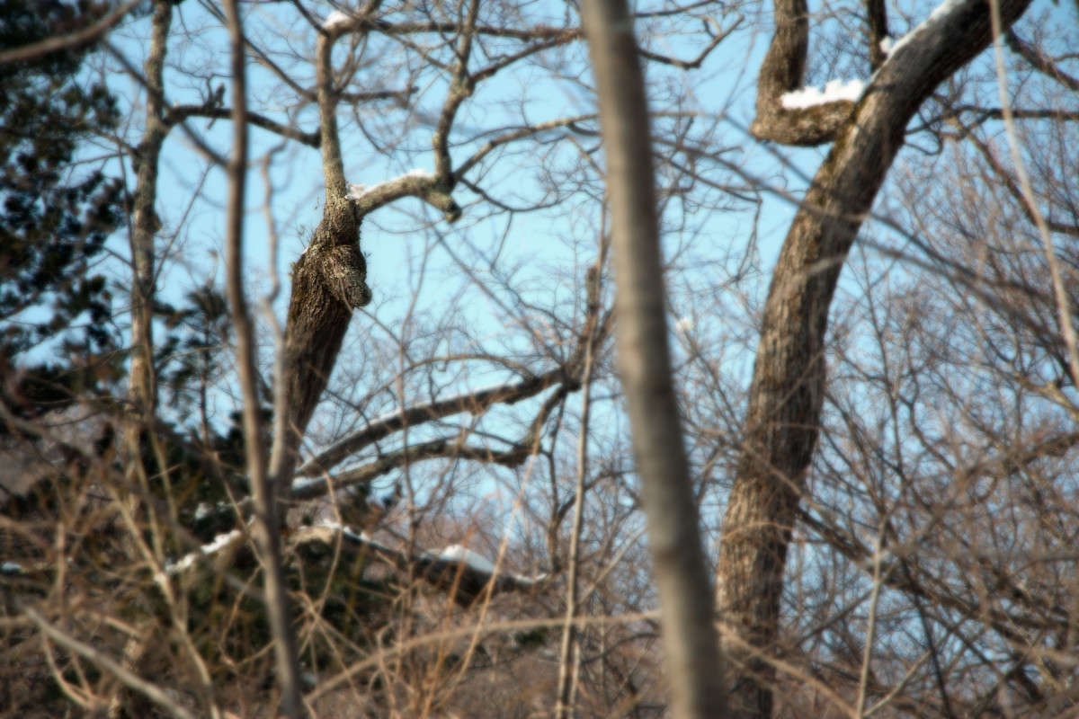 ... ����� ���� �������� �� PhotoGeek.ru #������ ��� �������