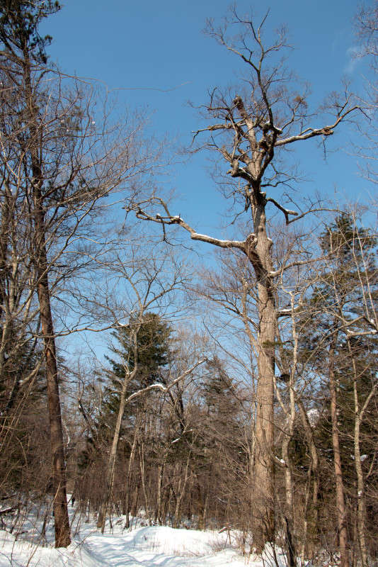 ... ����� ���� �������� �� PhotoGeek.ru #������ ��� �������