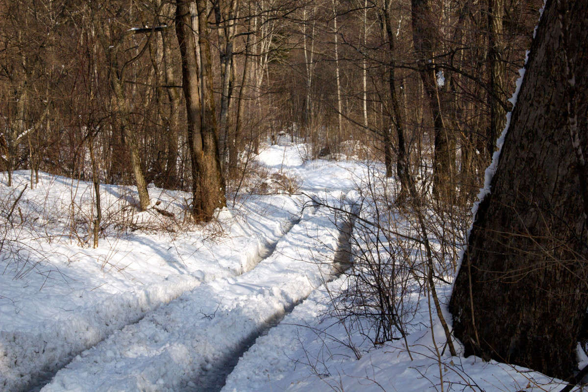 ����� ����, �����-������. ����� ���� �������� �� PhotoGeek.ru #������ ��� �������