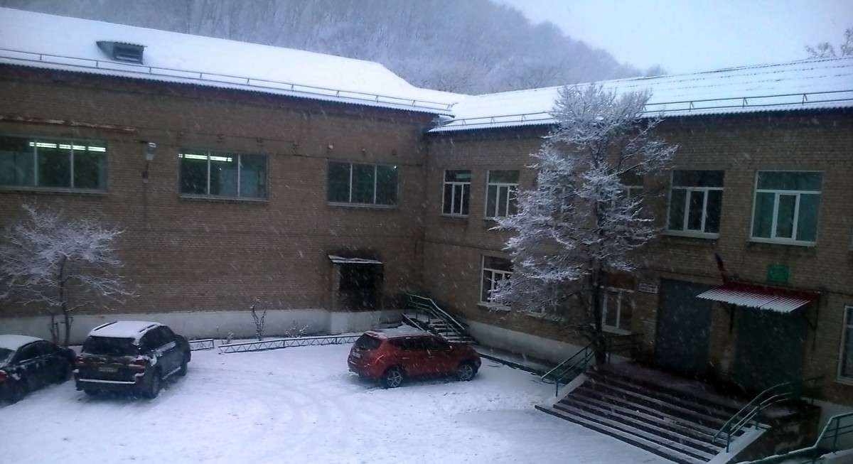 4 �����, �������, ���������� ���� ����� ���� �������� �� PhotoGeek.ru #����� #��������� ������