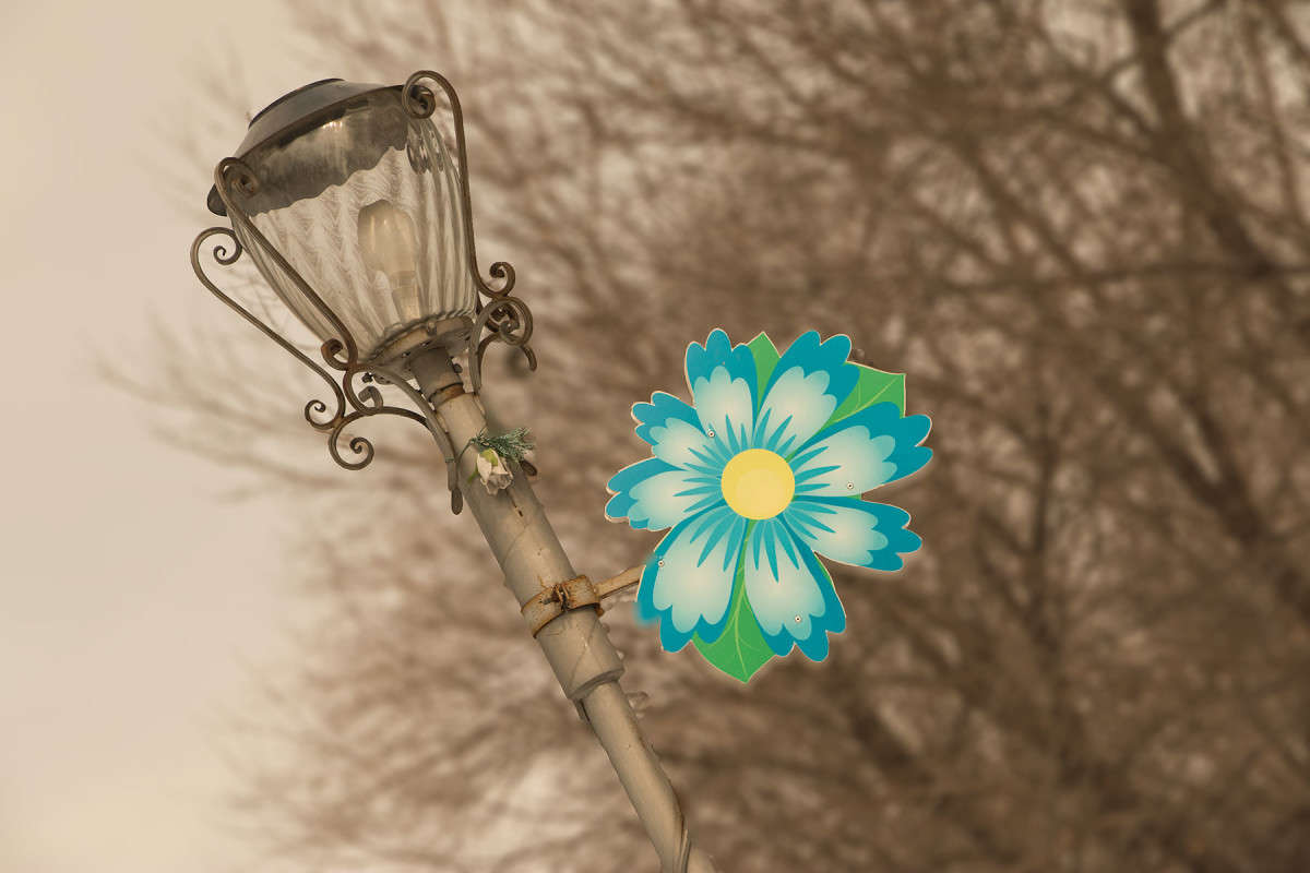 ������ ����� ���� �������� �� PhotoGeek.ru #����� #��������� ������