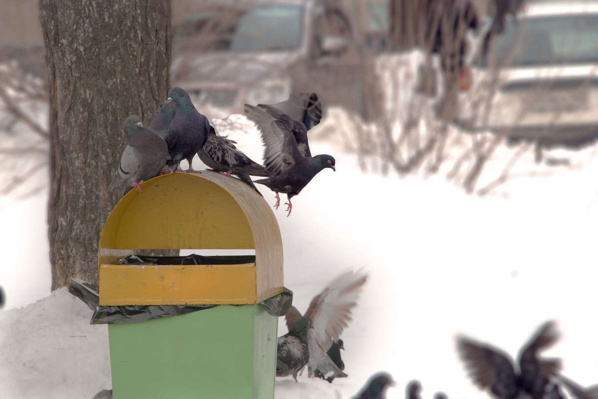 ������� � ���� ��� � �������... ����� ���� �������� �� PhotoGeek.ru #����� #��������� ������