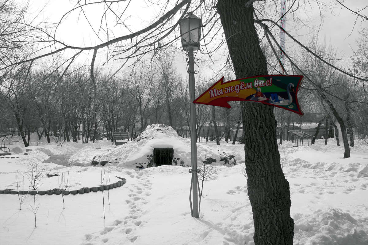 ����� ���������. ����� ���� �������� �� PhotoGeek.ru #����� #��������� ������